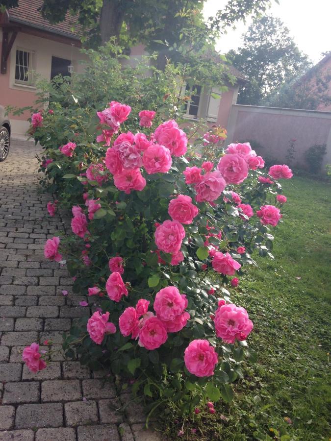 Rose Garden Mezzanine Bed and Breakfast Giverny Buitenkant foto