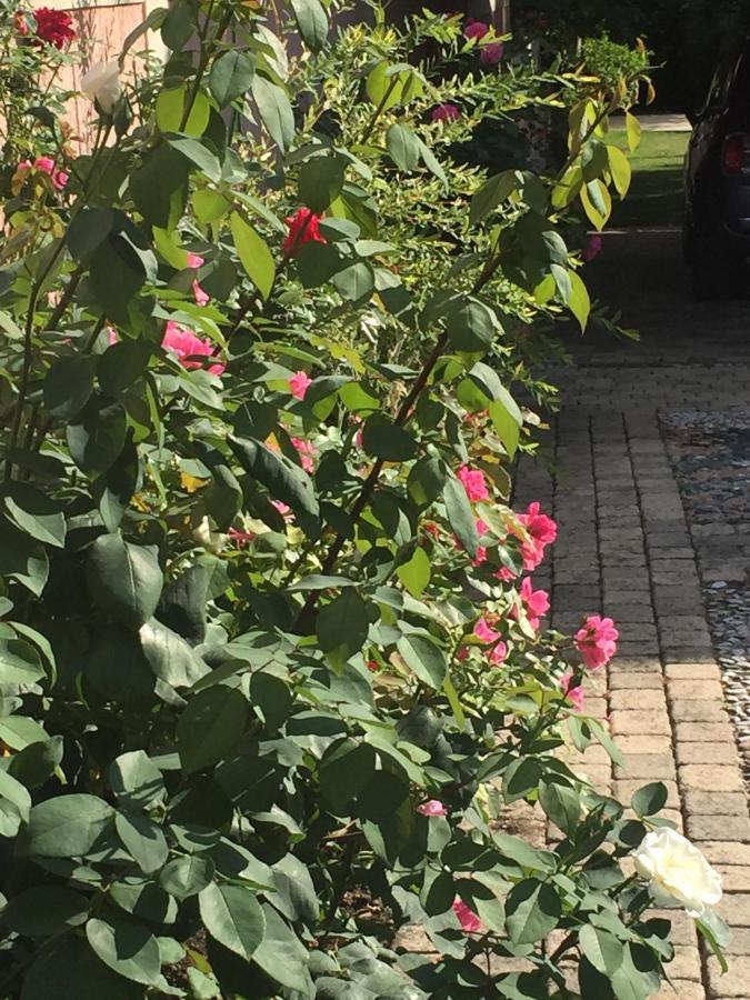 Rose Garden Mezzanine Bed and Breakfast Giverny Buitenkant foto