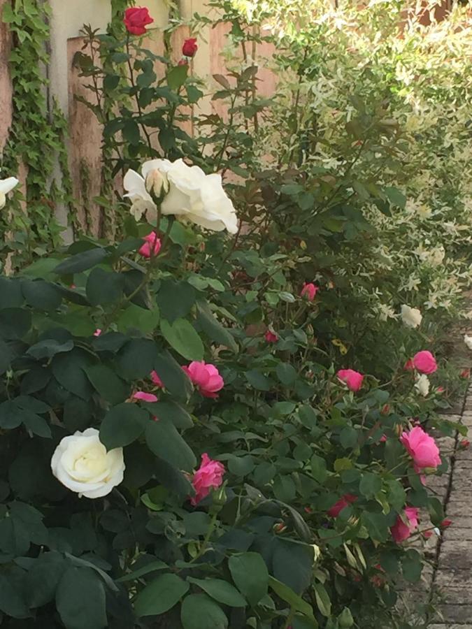 Rose Garden Mezzanine Bed and Breakfast Giverny Buitenkant foto